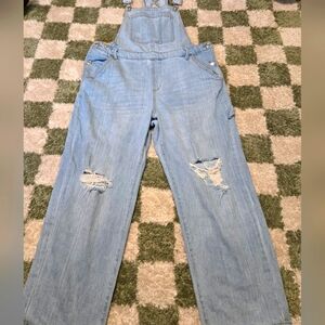 Wild Fable Light Blue Ripped Denim Overalls